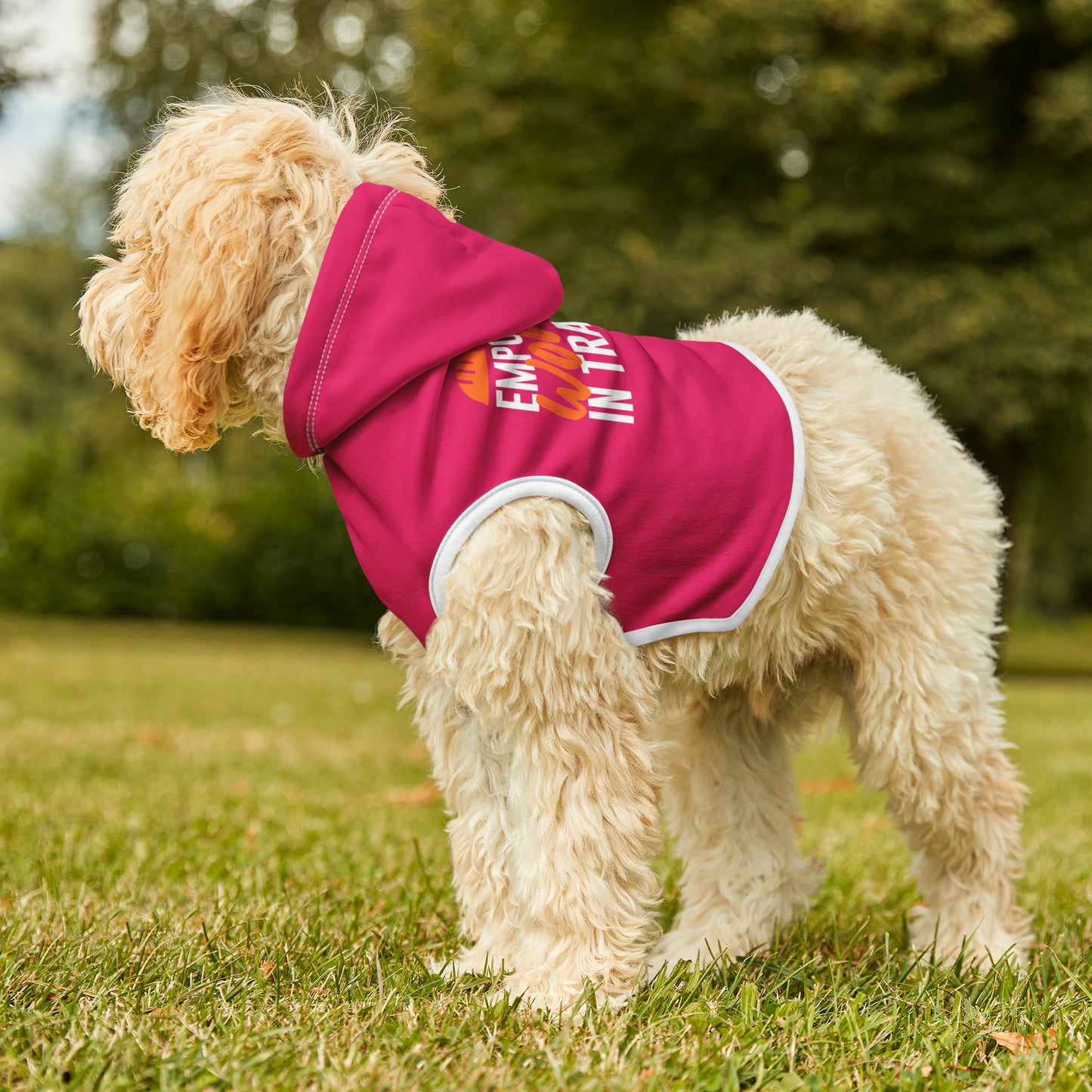 Empowered Pink Pawsome Pet Hoodie