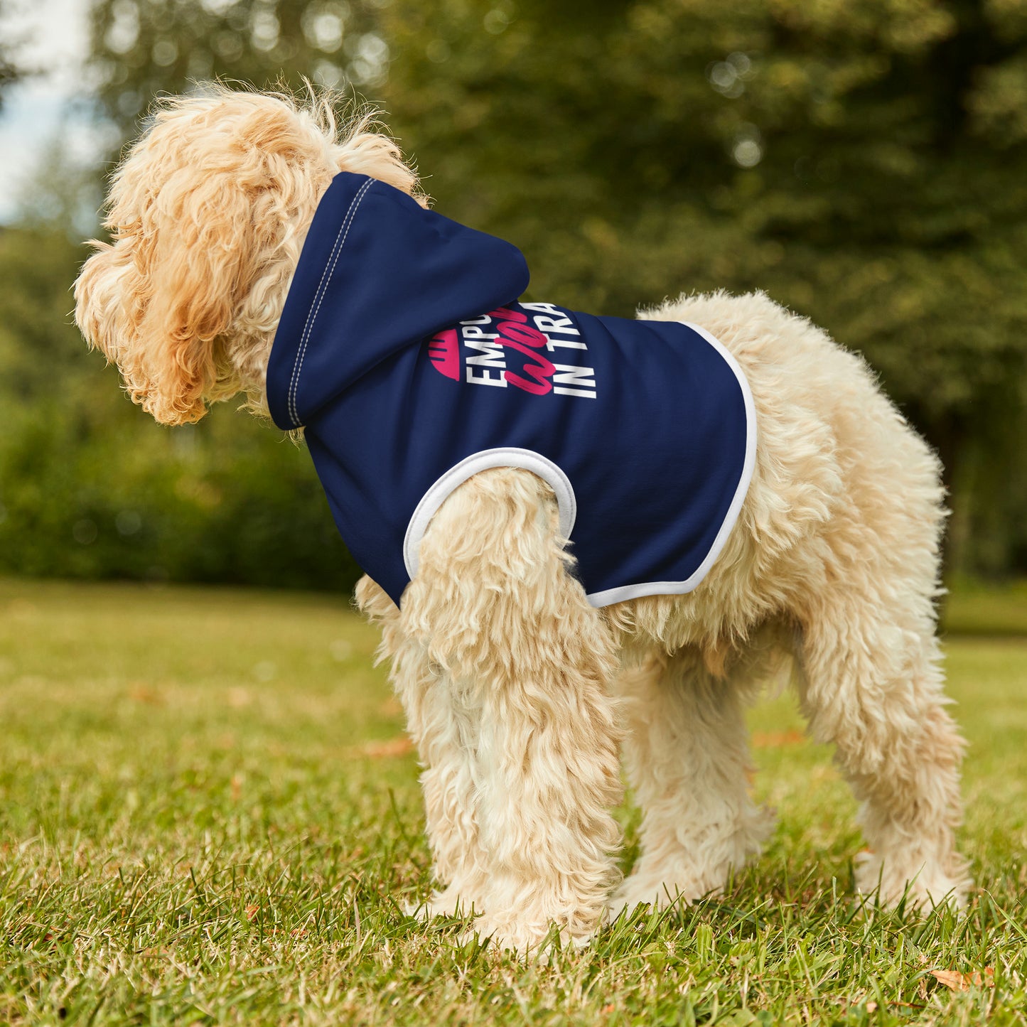 Empowered Navy Pawsome Pet Hoodie